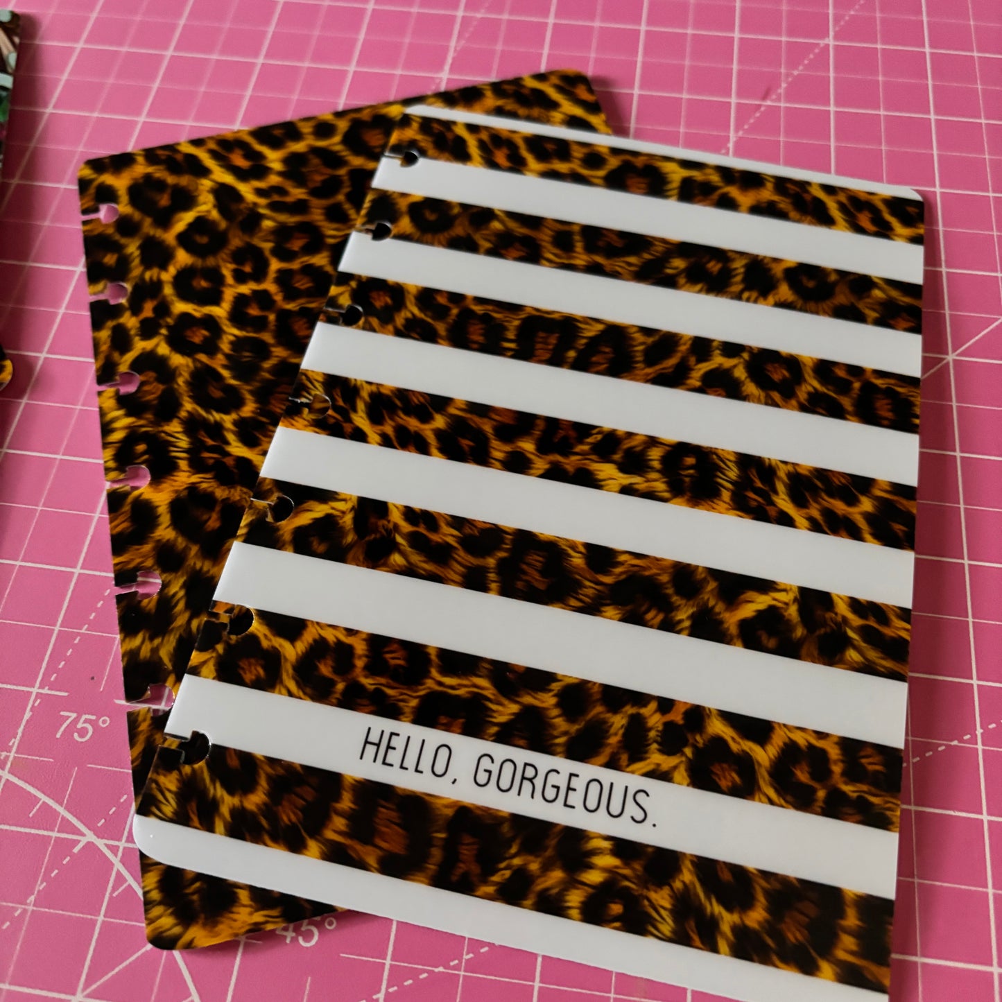 Discbound Planner Cover | Ring Planner Dashboard | Leopard