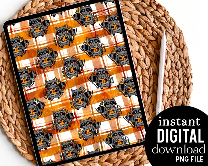 Sweet Plaid Raccoon - Digital Pattern Paper
